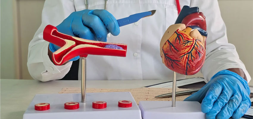 Minimally Invasive Cardiac Surgery (MICS)